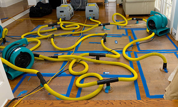 Professional Crawl Space Water Removal technician working in Lemon Springs, NC
